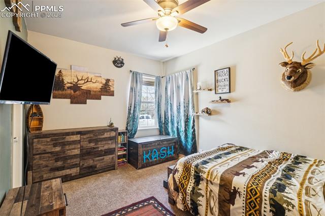 MLS Image for 3120  River Valley  ,Colorado Springs, Colorado