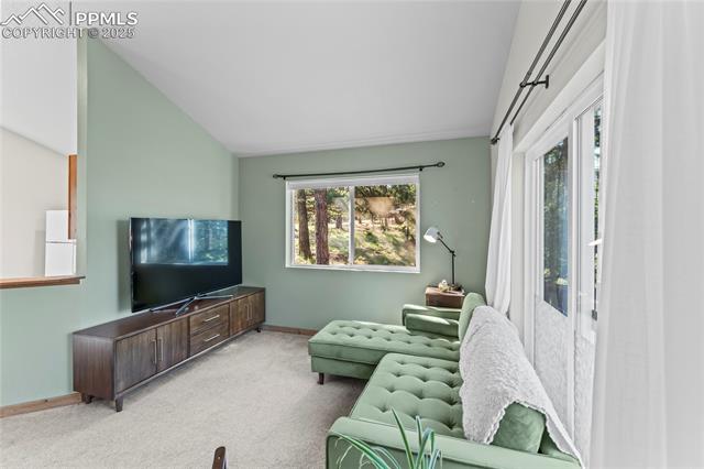 MLS Image for 215  Southpark  ,Florissant, Colorado