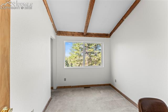 MLS Image for 215  Southpark  ,Florissant, Colorado