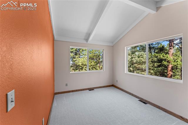 MLS Image for 215  Southpark  ,Florissant, Colorado