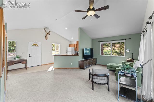 MLS Image for 215  Southpark  ,Florissant, Colorado