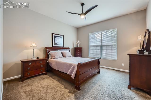 MLS Image for 4825  Rushford  ,Colorado Springs, Colorado