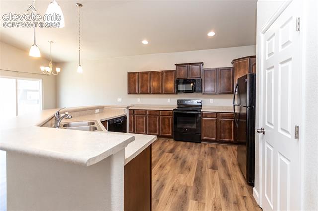 MLS Image for 7489  Alpine Daisy  ,Colorado Springs, Colorado