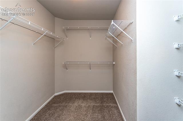 MLS Image for 7489  Alpine Daisy  ,Colorado Springs, Colorado
