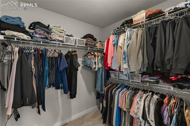 MLS Image for 5411  Wagon Hammer  ,Colorado Springs, Colorado