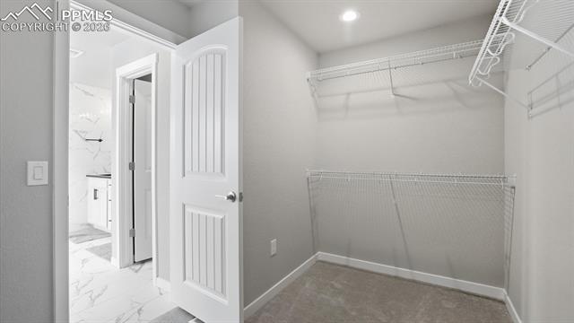 MLS Image for 9462  Allouche  ,Colorado Springs, Colorado
