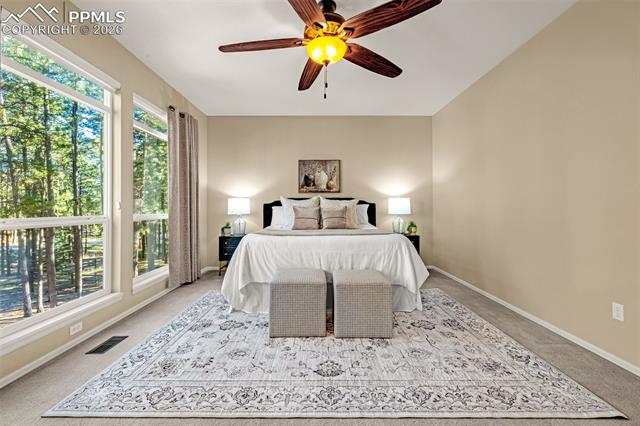 MLS Image for 1669  Goldpeak  ,Colorado Springs, Colorado