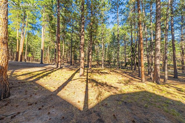 MLS Image for 1669  Goldpeak  ,Colorado Springs, Colorado