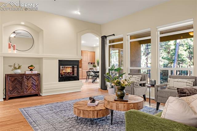 MLS Image for 1669  Goldpeak  ,Colorado Springs, Colorado