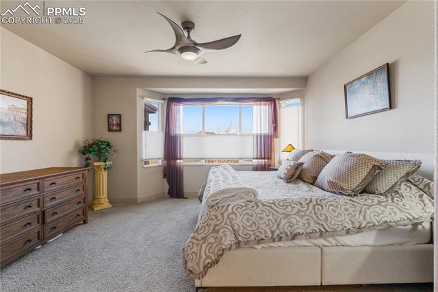 MLS Image for 7026  Shining Peak  ,Colorado Springs, Colorado
