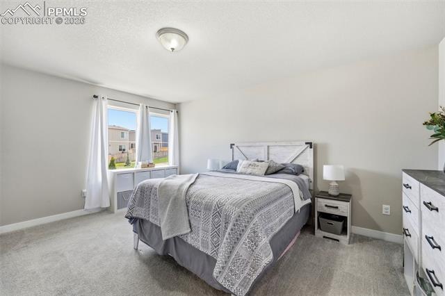 MLS Image for 6125  Big Bird  ,Colorado Springs, Colorado