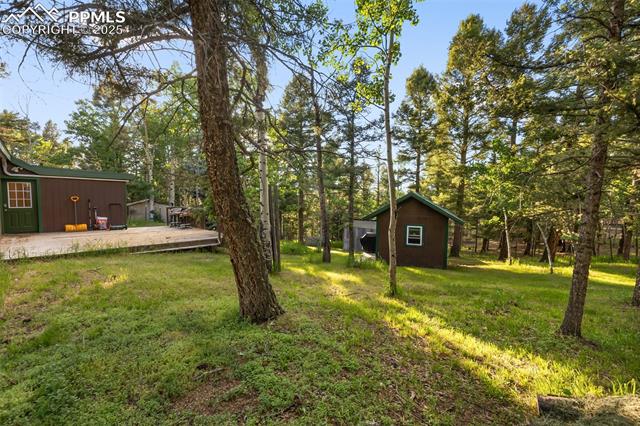 MLS Image for 53  Iris  ,Woodland Park, Colorado