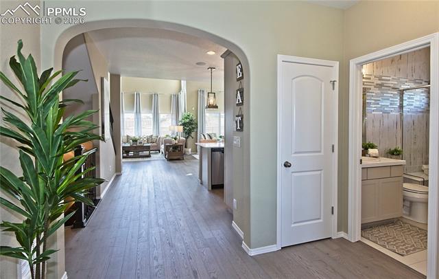 MLS Image for 6562  Miro  ,Colorado Springs, Colorado