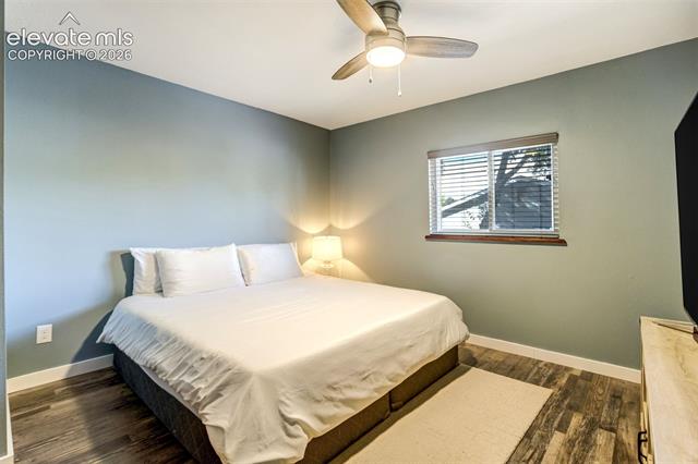 MLS Image for 3874  Red Cedar  ,Colorado Springs, Colorado