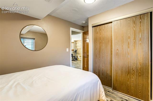MLS Image for 3874  Red Cedar  ,Colorado Springs, Colorado
