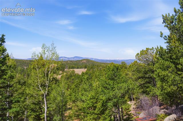 MLS Image for 516  Saguache  ,Florissant, Colorado