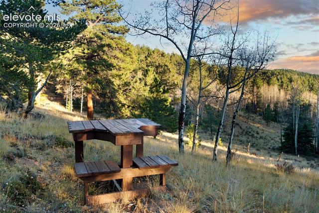MLS Image for 516  Saguache  ,Florissant, Colorado