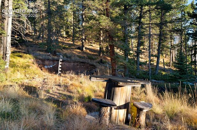 MLS Image for 516  Saguache  ,Florissant, Colorado