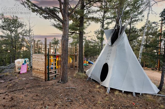 MLS Image for 516  Saguache  ,Florissant, Colorado