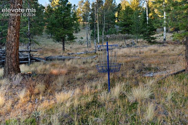MLS Image for 516  Saguache  ,Florissant, Colorado