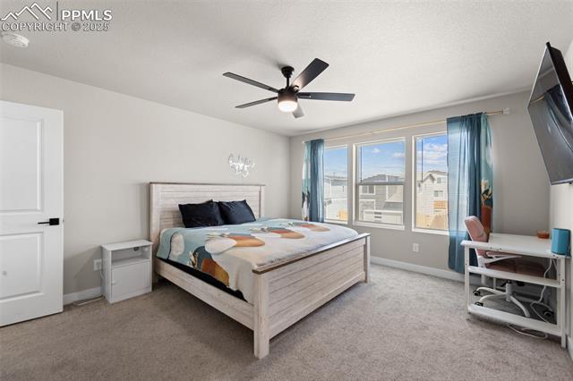 MLS Image for 11489  Whistling Duck  ,Colorado Springs, Colorado
