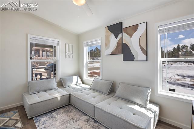 MLS Image for 1291  Calm Mountain  ,Woodland Park, Colorado