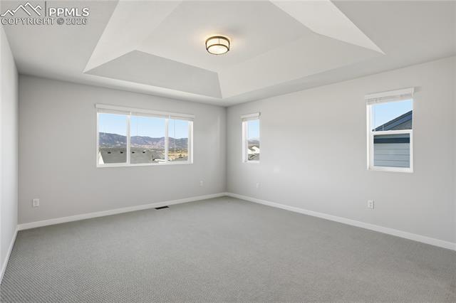 MLS Image for 17570  Cerberus  ,Monument, Colorado