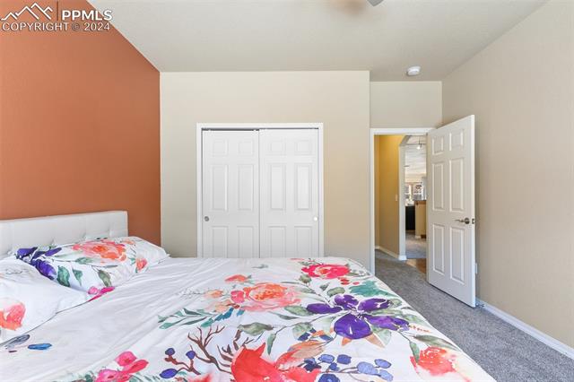 MLS Image for 1258  Ethereal  ,Colorado Springs, Colorado