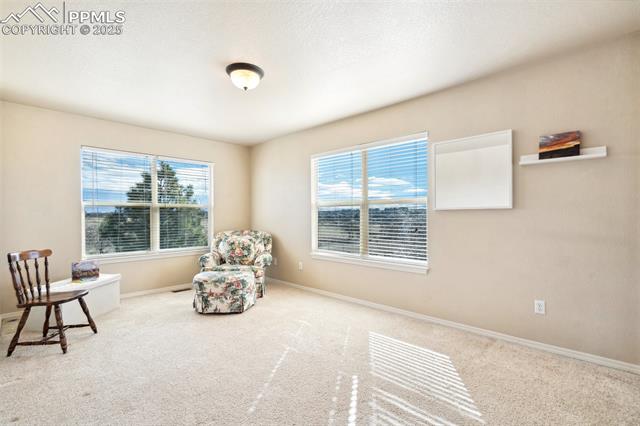 MLS Image for 8501  Jacks Fork  ,Colorado Springs, Colorado