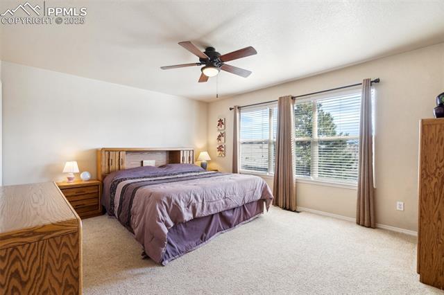 MLS Image for 8501  Jacks Fork  ,Colorado Springs, Colorado