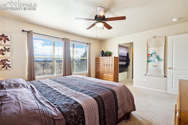 MLS Image for 8501  Jacks Fork  ,Colorado Springs, Colorado