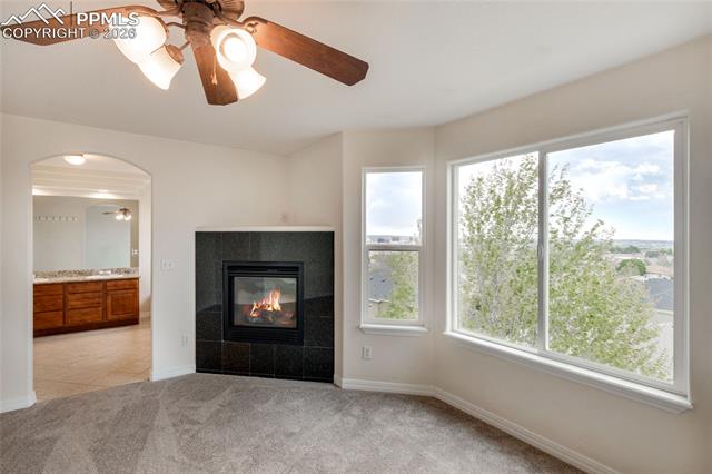 MLS Image for 363  Gold Claim  ,Colorado Springs, Colorado