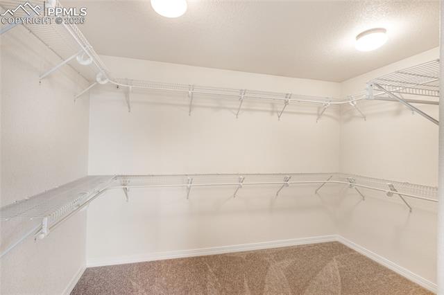 MLS Image for 363  Gold Claim  ,Colorado Springs, Colorado