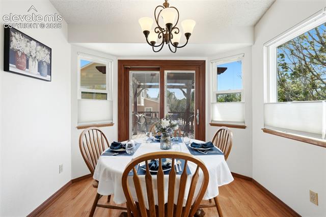 MLS Image for 5523  Many Springs  ,Colorado Springs, Colorado