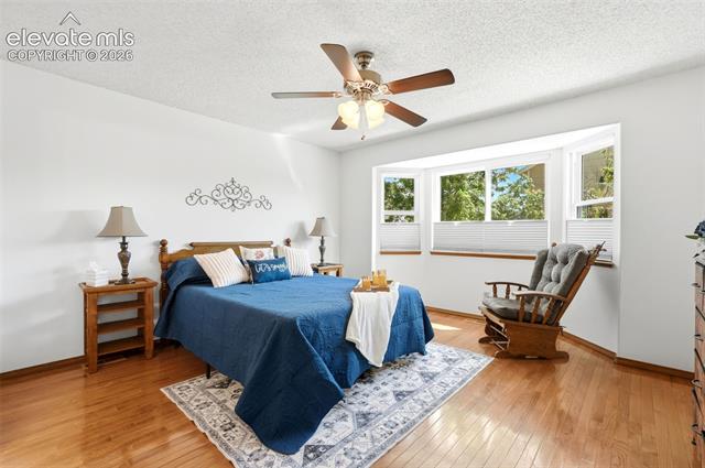 MLS Image for 5523  Many Springs  ,Colorado Springs, Colorado