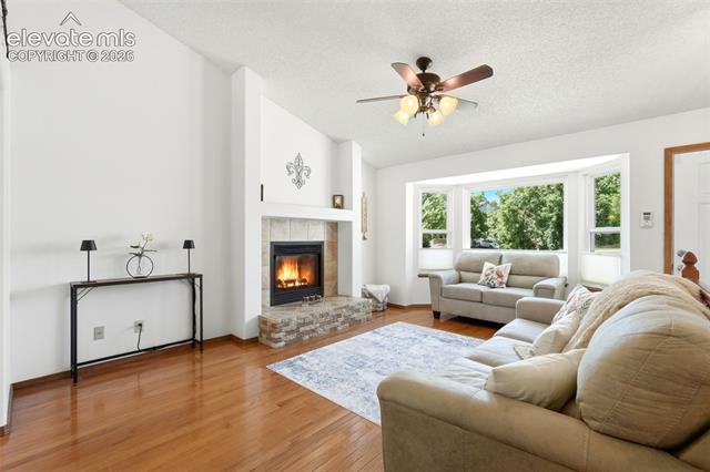 MLS Image for 5523  Many Springs  ,Colorado Springs, Colorado