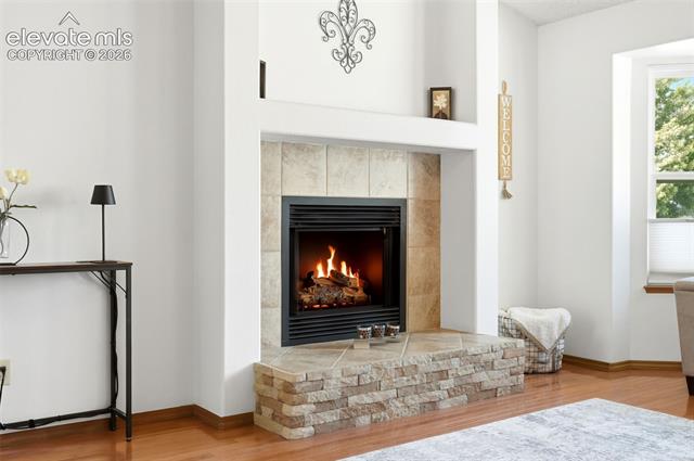 MLS Image for 5523  Many Springs  ,Colorado Springs, Colorado