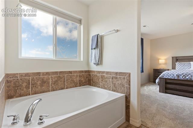 MLS Image for 3869  Reindeer  ,Colorado Springs, Colorado