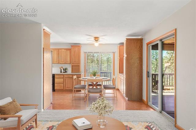 MLS Image for 4465  Leprechaun  ,Colorado Springs, Colorado