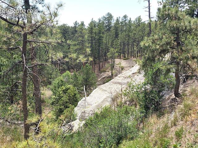 MLS Image for 4465  Leprechaun  ,Colorado Springs, Colorado