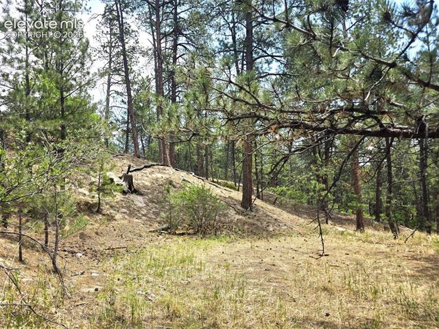 MLS Image for 4465  Leprechaun  ,Colorado Springs, Colorado