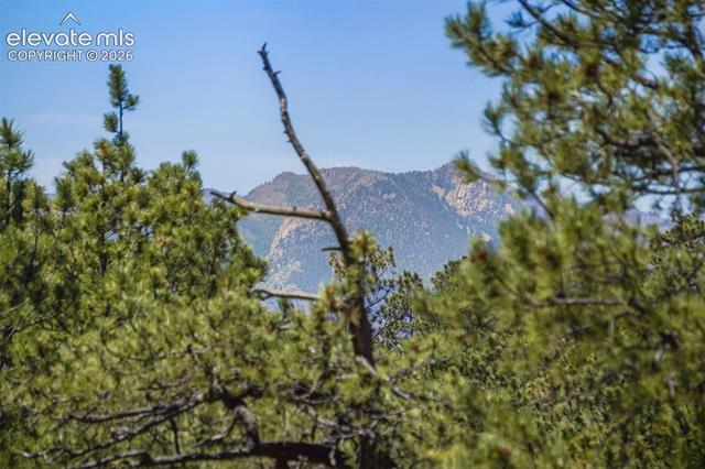 MLS Image for 4465  Leprechaun  ,Colorado Springs, Colorado