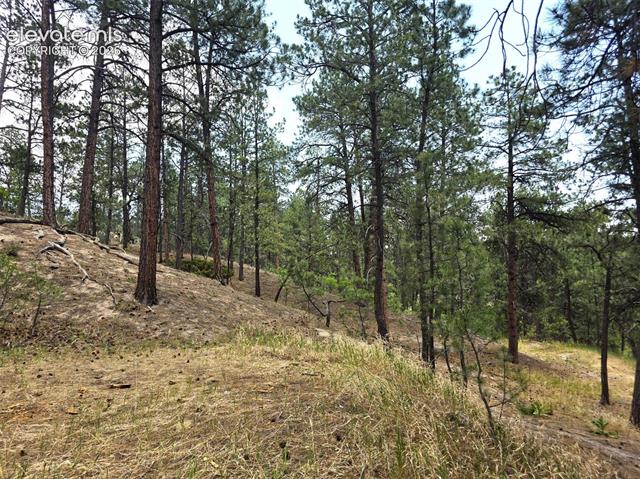 MLS Image for 4465  Leprechaun  ,Colorado Springs, Colorado