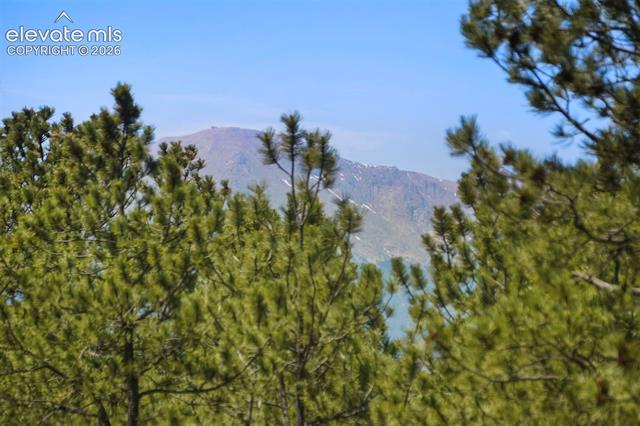 MLS Image for 4465  Leprechaun  ,Colorado Springs, Colorado