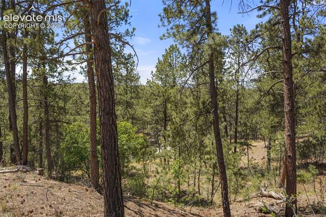MLS Image for 4465  Leprechaun  ,Colorado Springs, Colorado