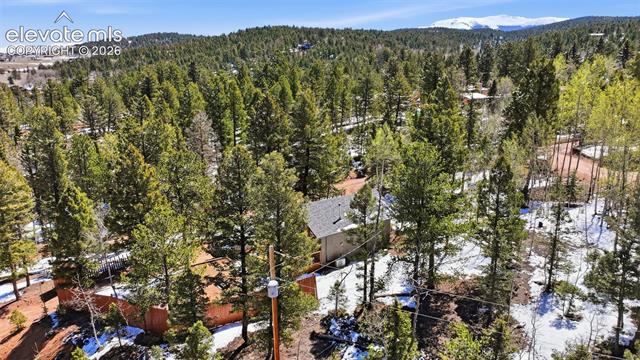 MLS Image for 747  Trout Haven  ,Florissant, Colorado