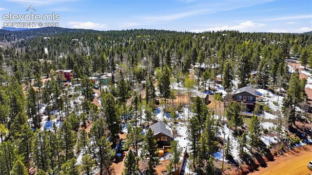 MLS Image for 747  Trout Haven  ,Florissant, Colorado