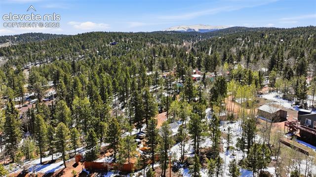 MLS Image for 747  Trout Haven  ,Florissant, Colorado