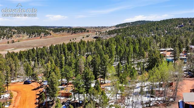MLS Image for 747  Trout Haven  ,Florissant, Colorado