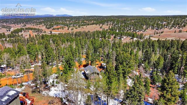 MLS Image for 747  Trout Haven  ,Florissant, Colorado